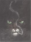 Blacksad - Illustration - Portfolio Blacksad Artworks - Dargaud / Anuman Interactive 02. 